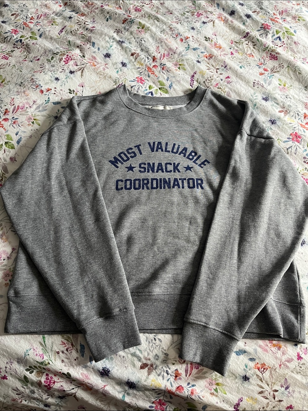 NWT Anthro Most Valuable Snack Coordinator Sweatshirt